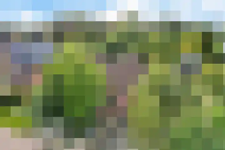 Raiffeisenstraat 25 Nieuw-Weerdinge thumbnail 42