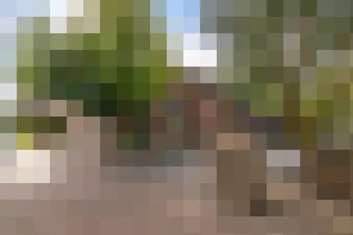 Raiffeisenstraat 25 Nieuw-Weerdinge thumbnail 5