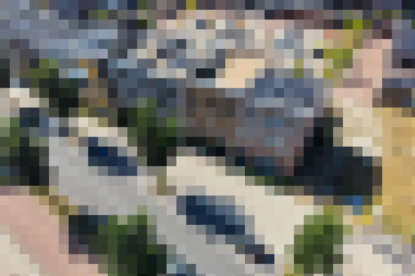 Raiffeisenstraat 29 Enschede thumbnail 36