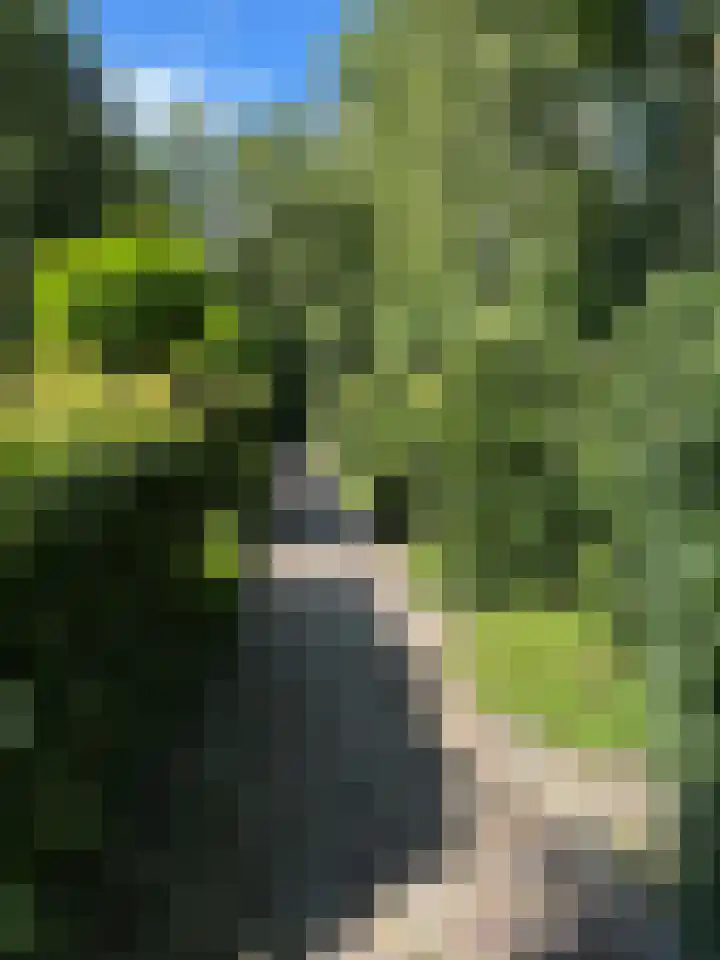 Raiffeisenstraat 41 Nieuw-Weerdinge thumbnail 10