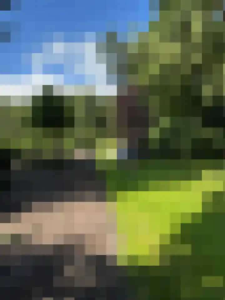 Raiffeisenstraat 41 Nieuw-Weerdinge thumbnail 5