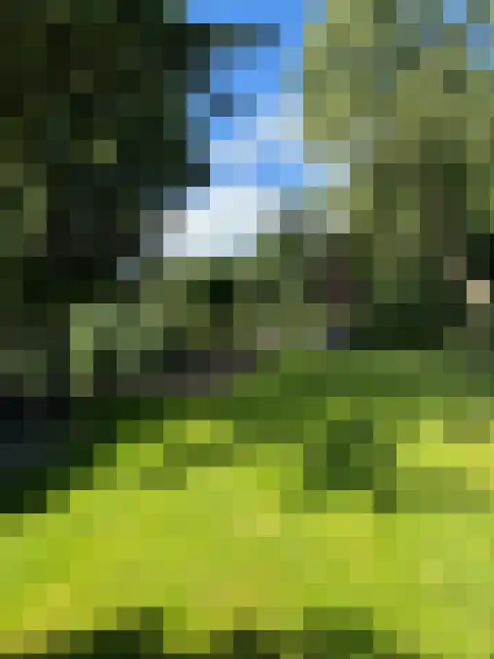 Raiffeisenstraat 41 Nieuw-Weerdinge thumbnail 6