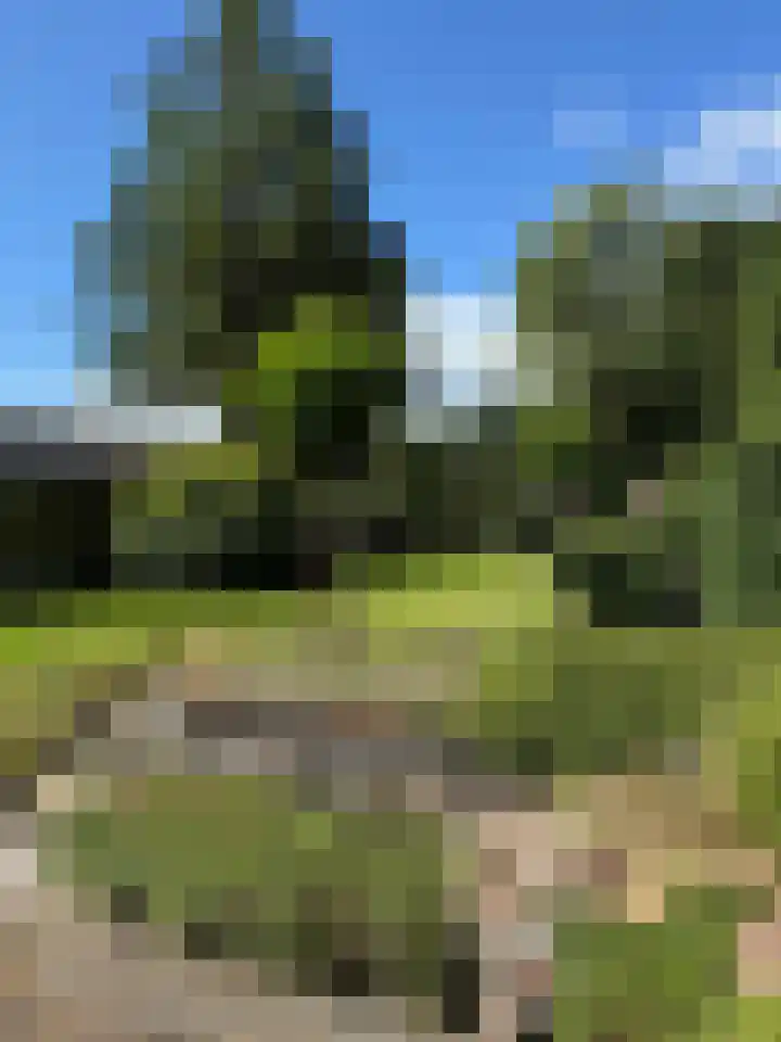 Raiffeisenstraat 41 Nieuw-Weerdinge thumbnail 7