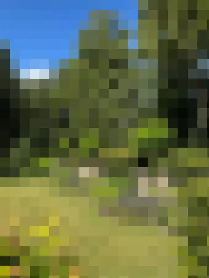 Raiffeisenstraat 41 Nieuw-Weerdinge thumbnail 8