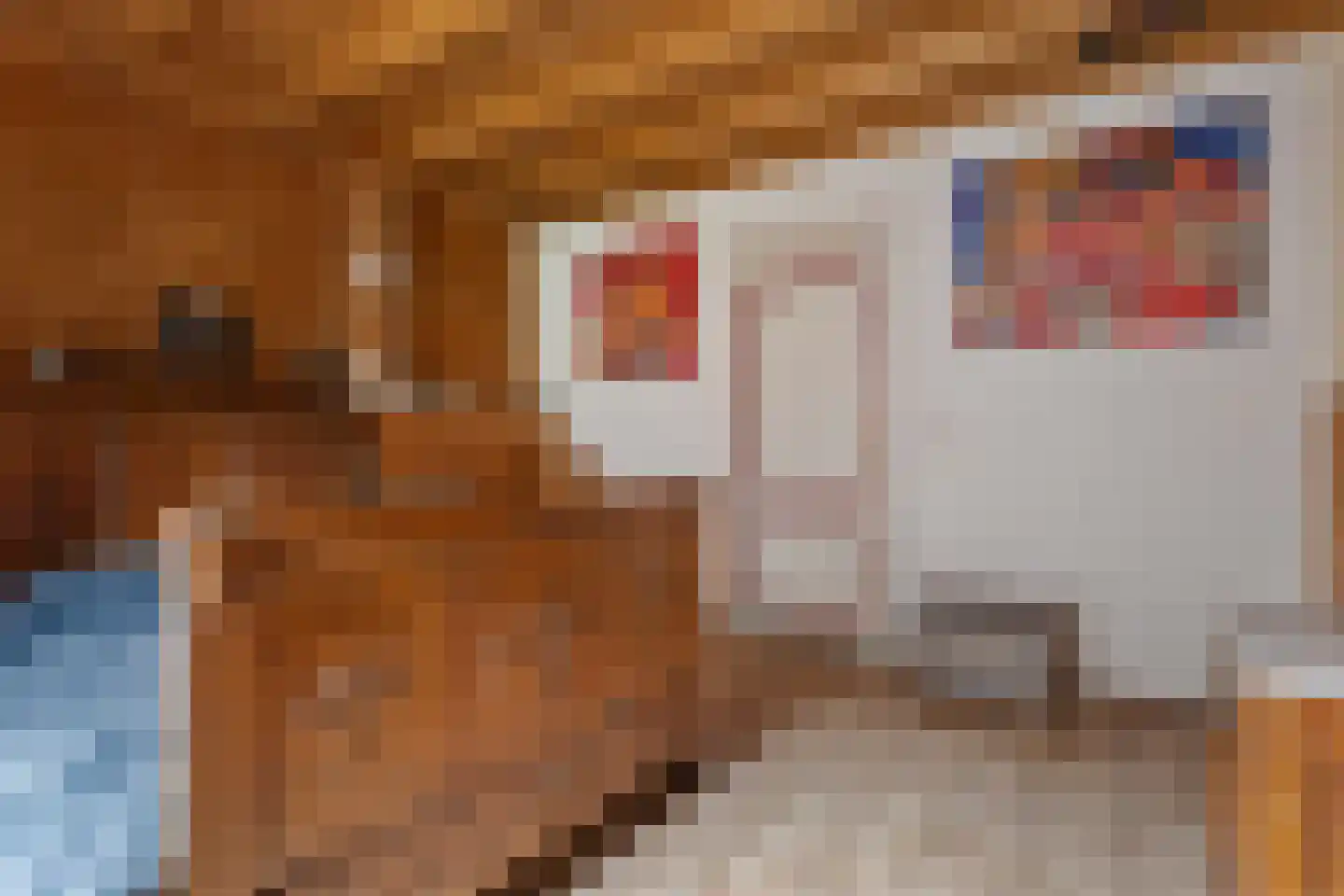 Raiffeisenstraat 51 Nieuw-Weerdinge thumbnail 10