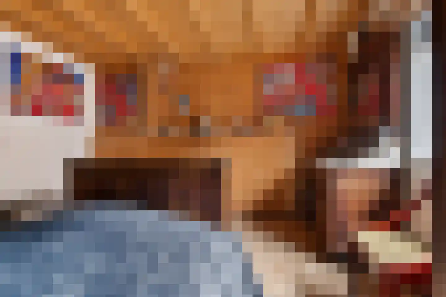 Raiffeisenstraat 51 Nieuw-Weerdinge thumbnail 11