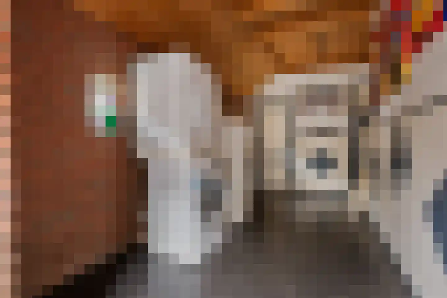 Raiffeisenstraat 51 Nieuw-Weerdinge thumbnail 12