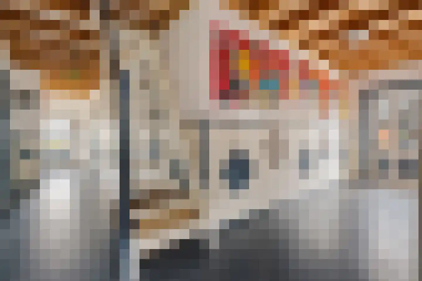 Raiffeisenstraat 51 Nieuw-Weerdinge thumbnail 16