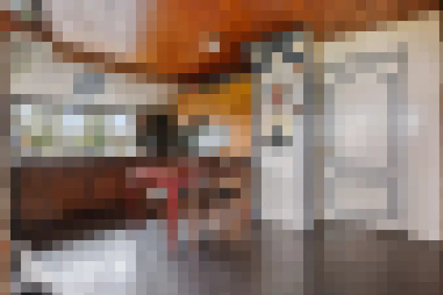 Raiffeisenstraat 51 Nieuw-Weerdinge thumbnail 21