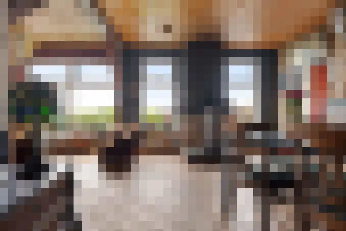 Raiffeisenstraat 51 Nieuw-Weerdinge thumbnail 25