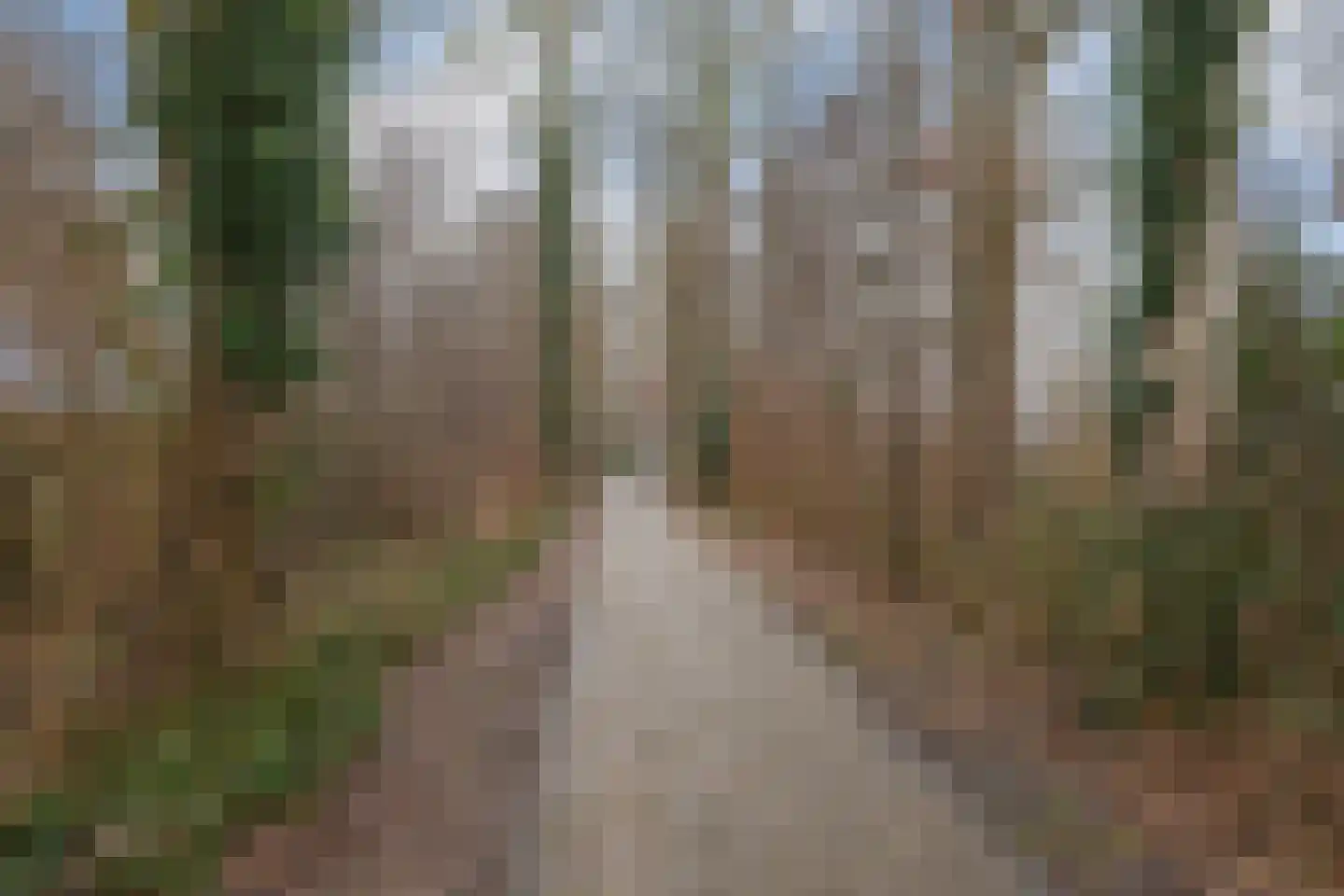 Raiffeisenstraat 51 Nieuw-Weerdinge thumbnail 33