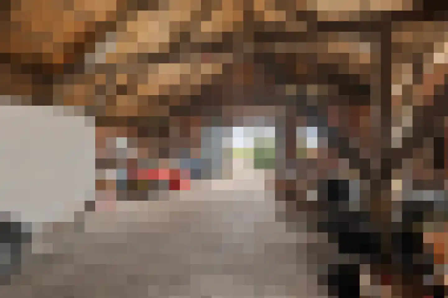 Raiffeisenstraat 51 Nieuw-Weerdinge thumbnail 40