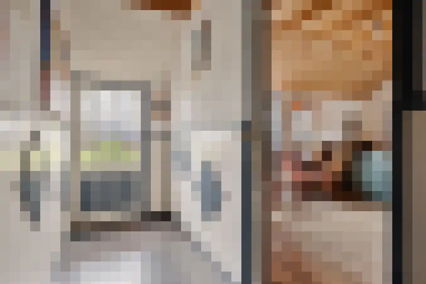 Raiffeisenstraat 51 Nieuw-Weerdinge thumbnail 5