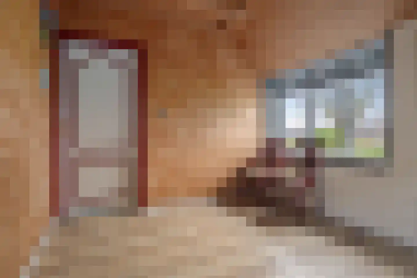 Raiffeisenstraat 51 Nieuw-Weerdinge thumbnail 7