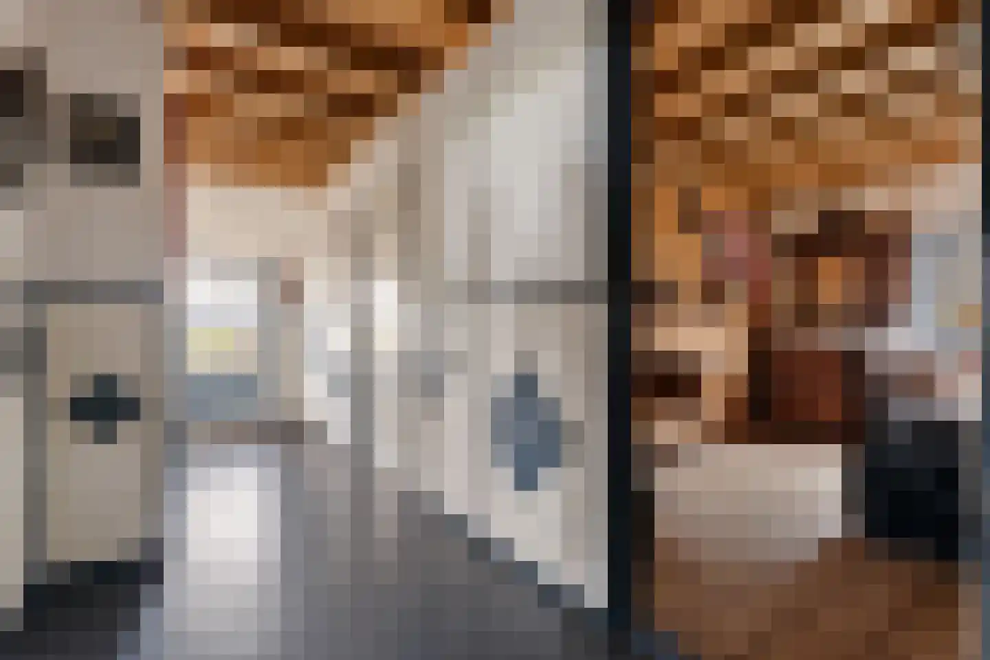 Raiffeisenstraat 51 Nieuw-Weerdinge thumbnail 8