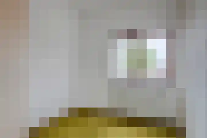 Raiffeisenstraat 6 Sint-Annaland thumbnail 23