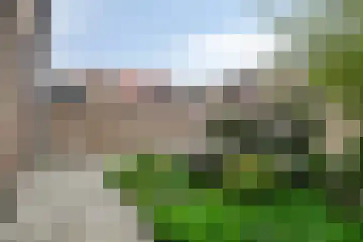 Raiffeisenstraat 6 Sint-Annaland thumbnail 31