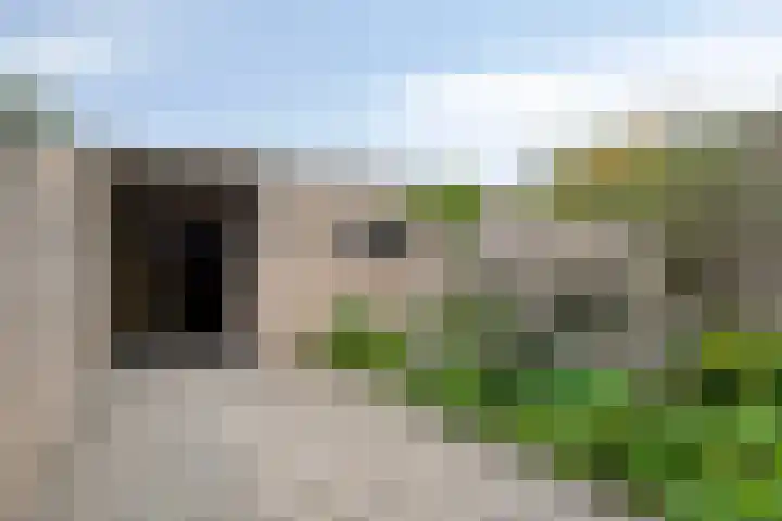 Raiffeisenstraat 6 Sint-Annaland thumbnail 32