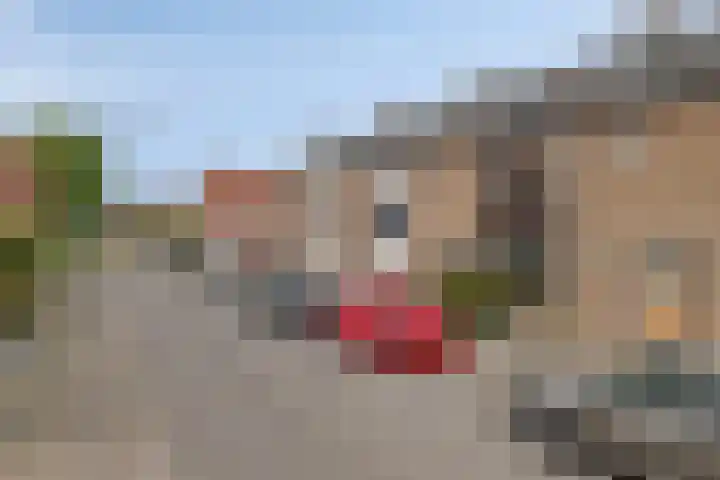 Raiffeisenstraat 6 Sint-Annaland thumbnail 37