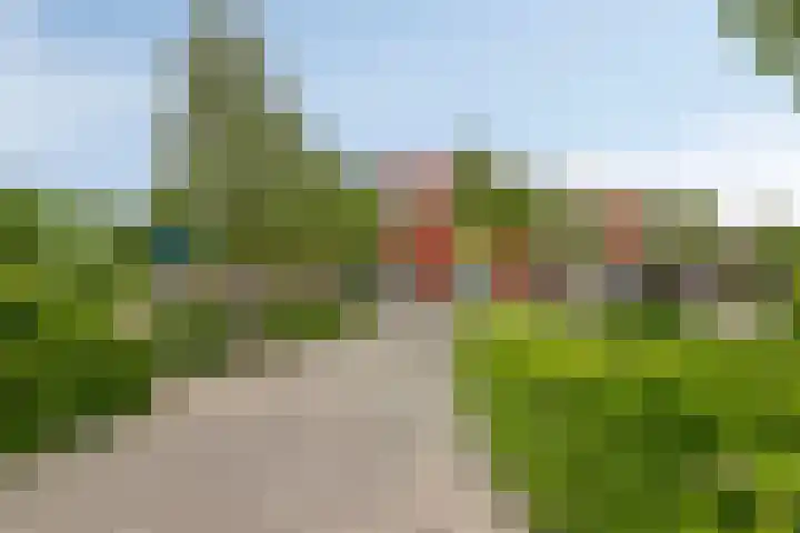 Raiffeisenstraat 6 Sint-Annaland thumbnail 38