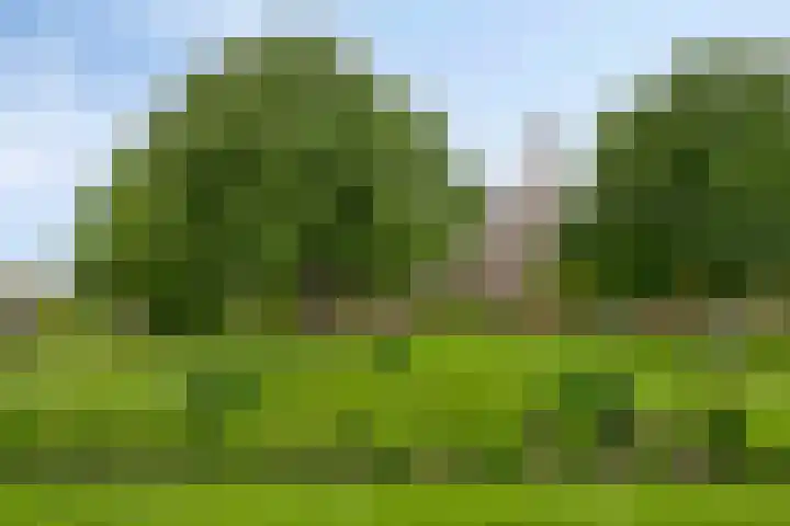 Raiffeisenstraat 6 Sint-Annaland thumbnail 40