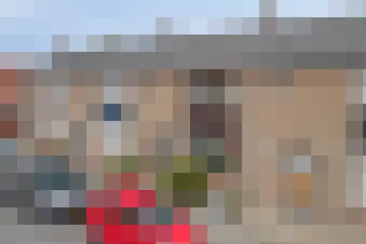 Raiffeisenstraat 6 Sint-Annaland thumbnail 43