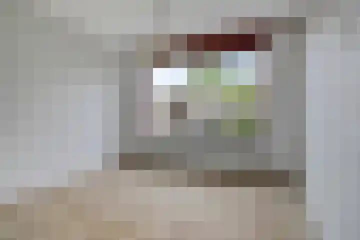 Raiffeisenstraat 6 Sint-Annaland thumbnail 9