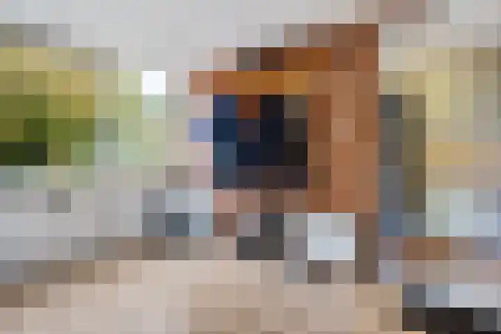 Raiffeisenstraat 69 Nieuw-Weerdinge thumbnail 22