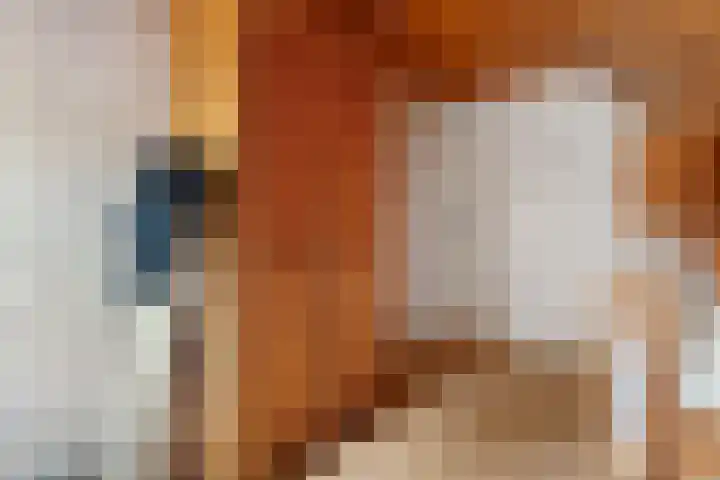 Raiffeisenstraat 69 Nieuw-Weerdinge thumbnail 31