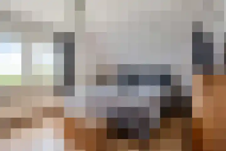 Raiffeisenstraat 69 Nieuw-Weerdinge thumbnail 32