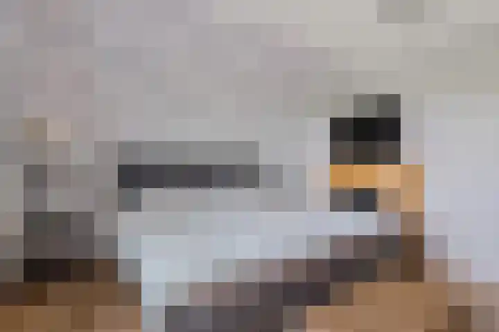 Raiffeisenstraat 69 Nieuw-Weerdinge thumbnail 33
