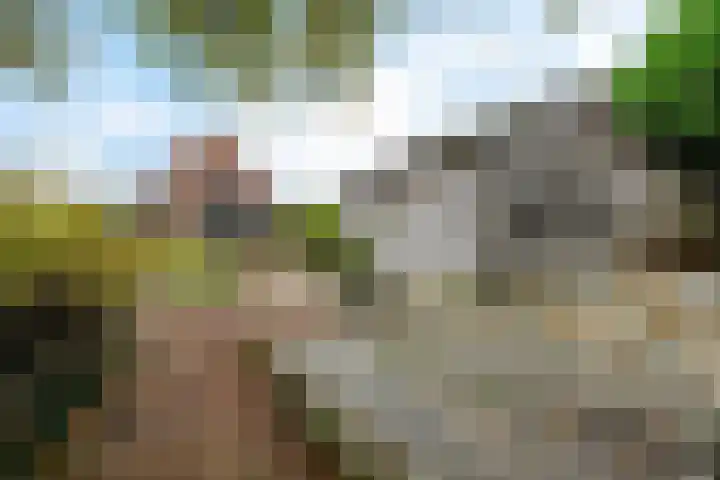 Raiffeisenstraat 69 Nieuw-Weerdinge thumbnail 37
