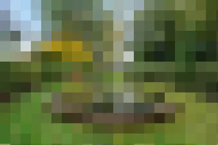 Raiffeisenstraat 69 Nieuw-Weerdinge thumbnail 41