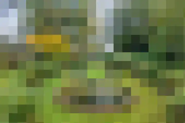 Raiffeisenstraat 69 Nieuw-Weerdinge thumbnail 42