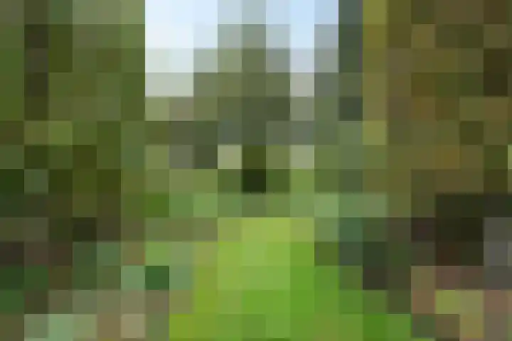 Raiffeisenstraat 69 Nieuw-Weerdinge thumbnail 43