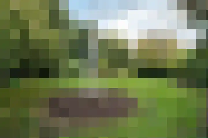 Raiffeisenstraat 69 Nieuw-Weerdinge thumbnail 44