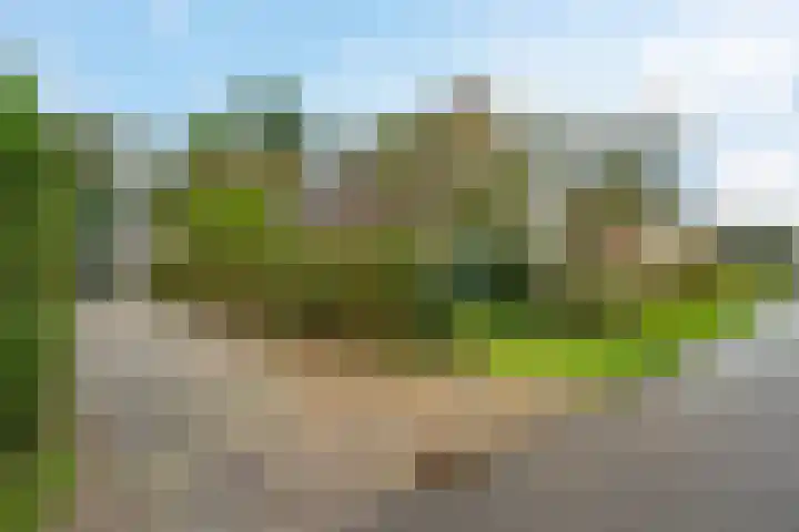 Raiffeisenstraat 69 Nieuw-Weerdinge thumbnail 46