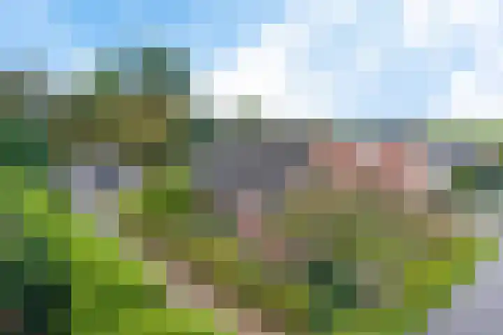Raiffeisenstraat 69 Nieuw-Weerdinge thumbnail 48