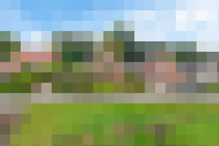 Raiffeisenstraat 69 Nieuw-Weerdinge thumbnail 49