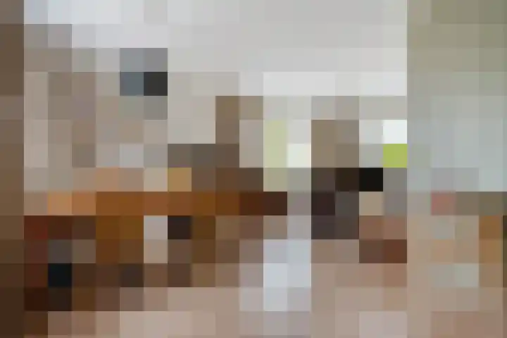 Raiffeisenstraat 69 Nieuw-Weerdinge thumbnail 7