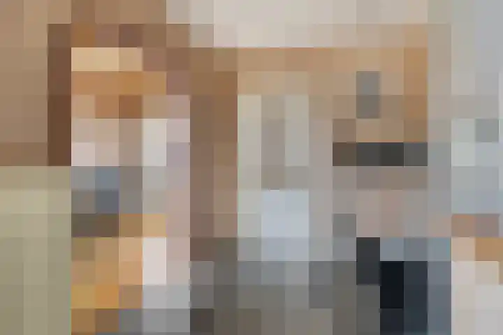 Raiffeisenstraat 8 Sint-Annaland thumbnail 15