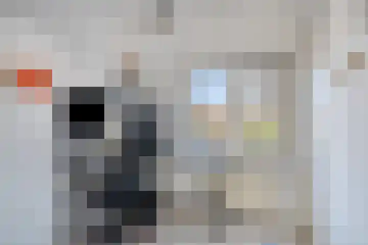 Raiffeisenstraat 8 Sint-Annaland thumbnail 30