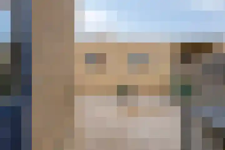Raiffeisenstraat 8 Sint-Annaland thumbnail 39