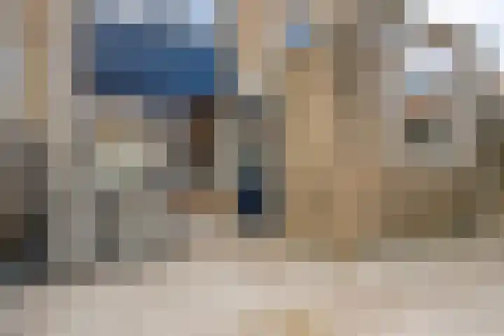 Raiffeisenstraat 8 Sint-Annaland thumbnail 41