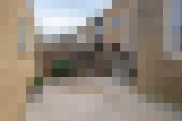 Raiffeisenstraat 8 Sint-Annaland thumbnail 43