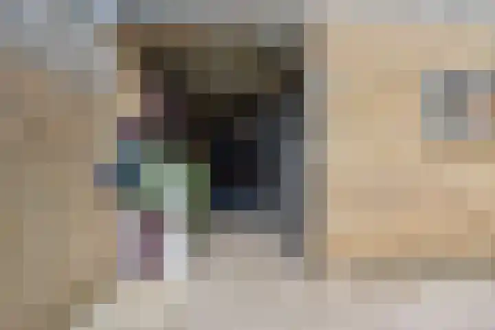 Raiffeisenstraat 8 Sint-Annaland thumbnail 44