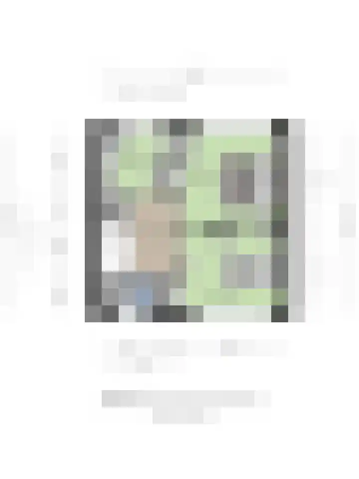 Raiffeisenstraat 8 Sint-Annaland thumbnail 61