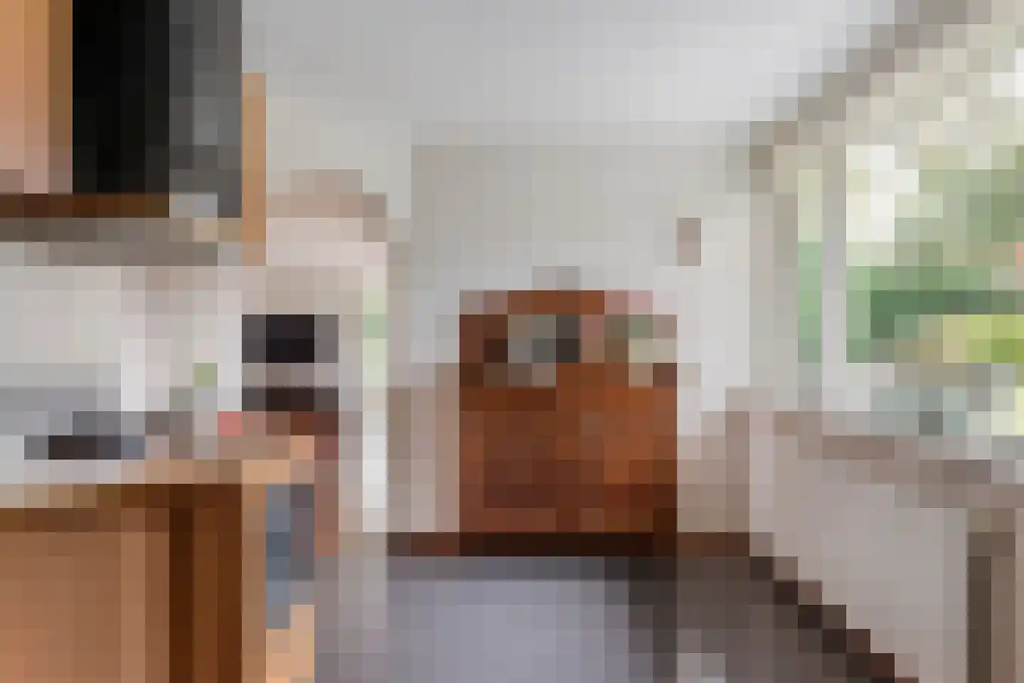 Raijmakersstraat 18 Nijverdal thumbnail 13