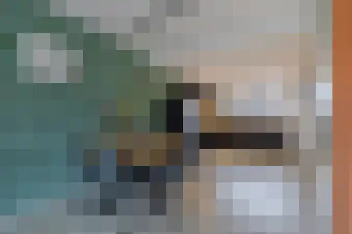 Rak 111 Heerenveen thumbnail 12