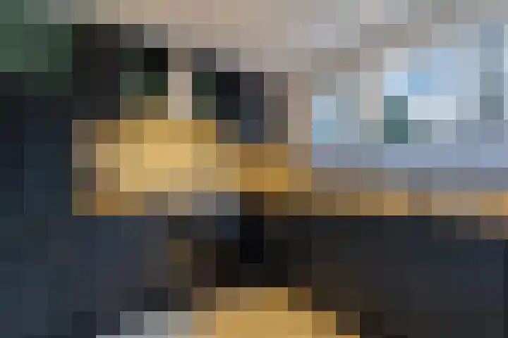 Rak 111 Heerenveen thumbnail 13